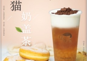 雨燕直播：熊猫奶盖茶